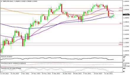 Daily Forex Guide