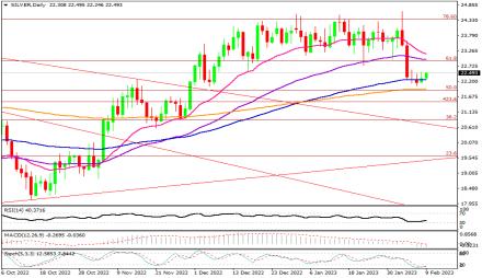 Daily Forex Guide