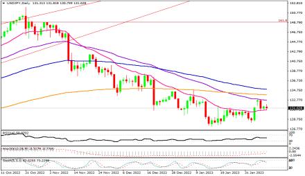 Daily Forex Guide