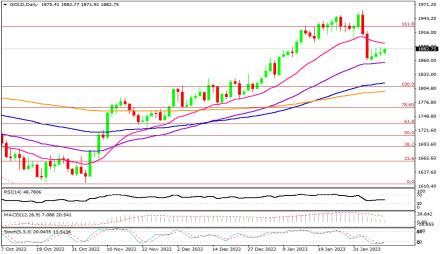 Daily Forex Guide