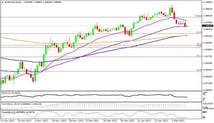 Daily Forex Guide