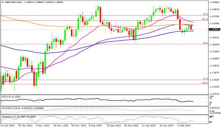 Daily Forex Guide