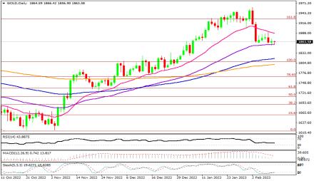 Daily Forex Guide