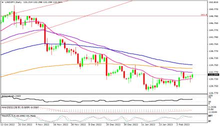 Daily Forex Guide