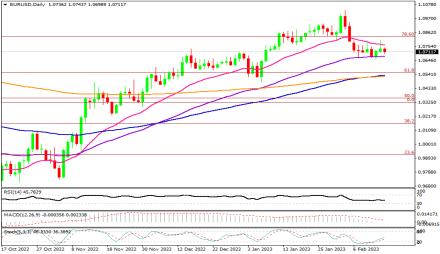 Daily Forex Guide