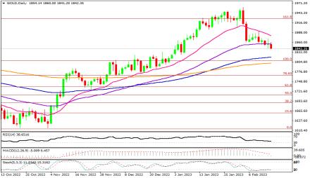 Daily Forex Guide