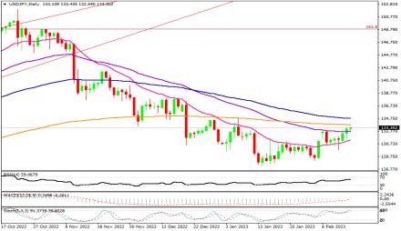 Daily Forex Guide