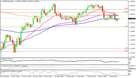 Daily Forex Guide