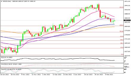 Daily Forex Guide