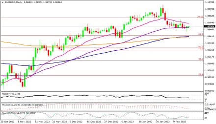 Daily Forex Guide