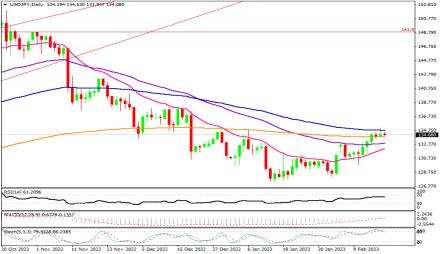 Daily Forex Guide