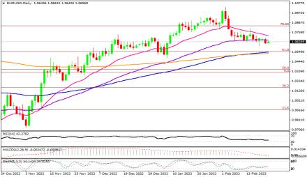 Daily Forex Guide