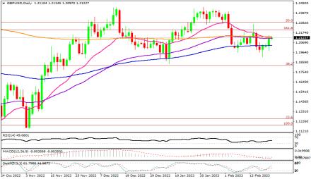 Daily Forex Guide