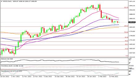 Daily Forex Guide