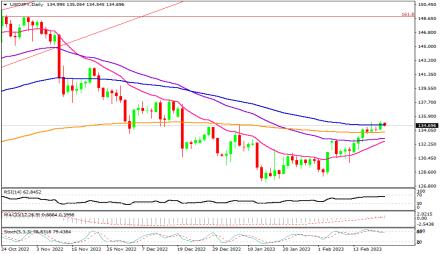 Daily Forex Guide