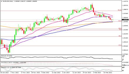 Daily Forex Guide