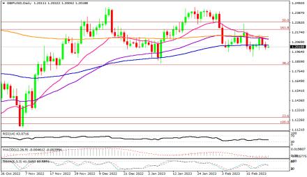 Daily Forex Guide