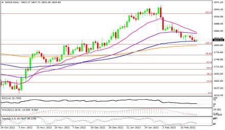 Daily Forex Guide