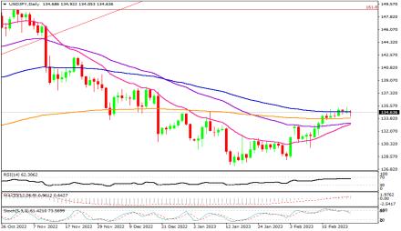 Daily Forex Guide