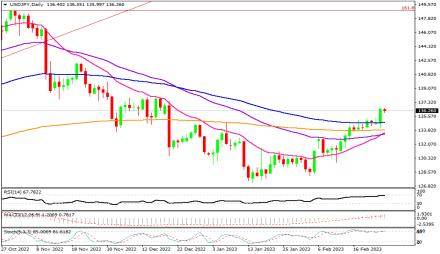 Daily Forex Guide