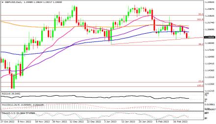 Daily Forex Guide