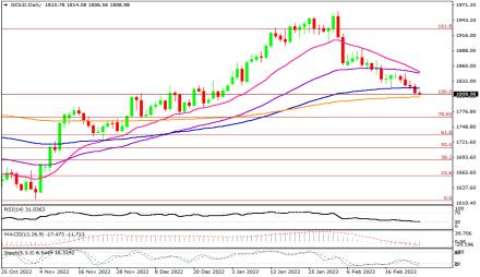 Daily Forex Guide