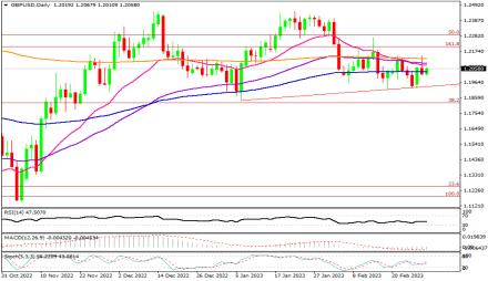 Daily Forex Guide