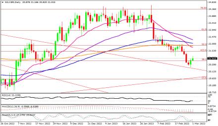 Daily Forex Guide