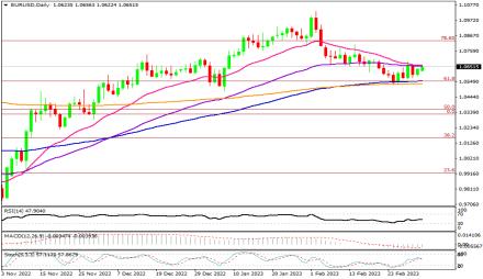 Daily Forex Guide