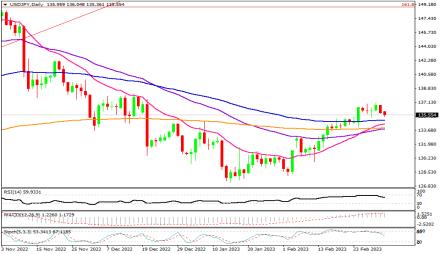 Daily Forex Guide