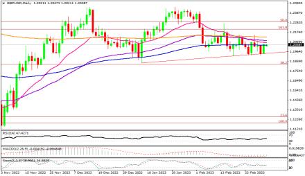 Daily Forex Guide