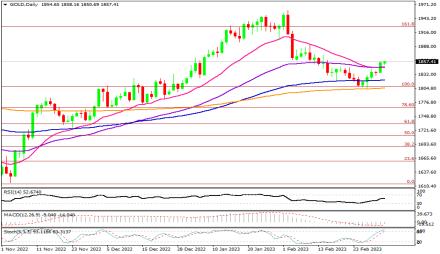 Daily Forex Guide