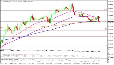 Daily Forex Guide