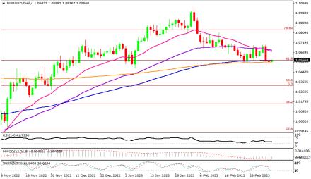 Daily Forex Guide