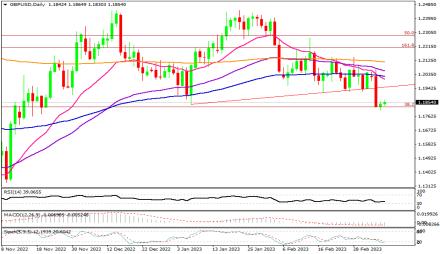 Daily Forex Guide