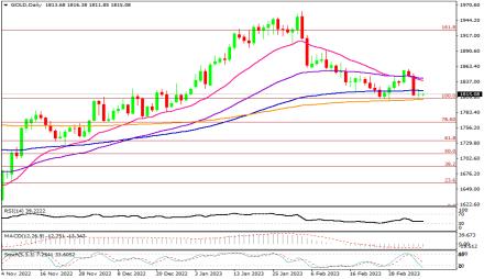 Daily Forex Guide