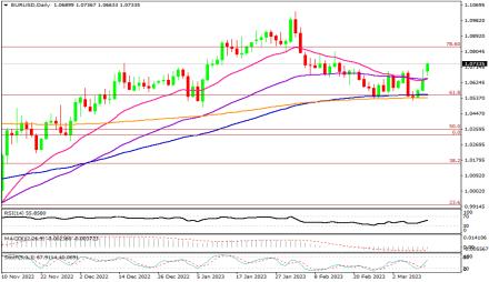 Daily Forex Guide