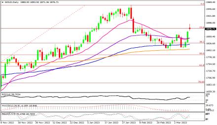 Daily Forex Guide