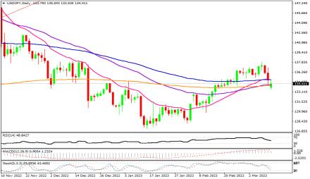 Daily Forex Guide