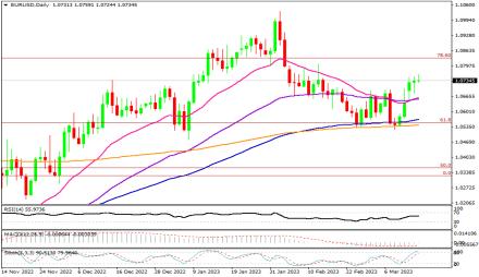 Daily Forex Guide