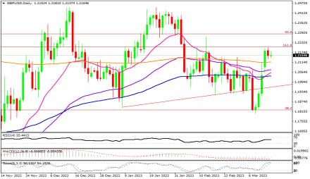 Daily Forex Guide