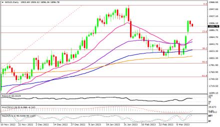 Daily Forex Guide