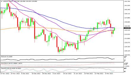 Daily Forex Guide