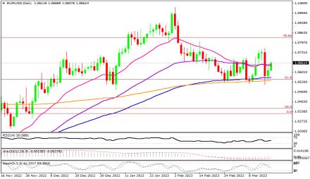 Daily Forex Guide