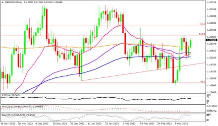 Daily Forex Guide