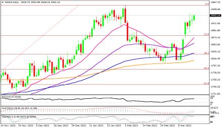 Daily Forex Guide