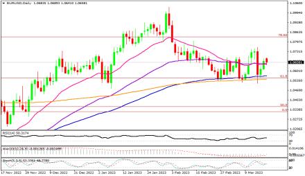 Daily Forex Guide