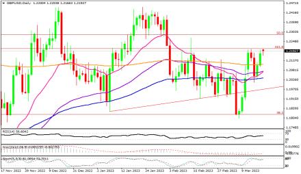 Daily Forex Guide