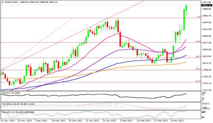 Daily Forex Guide