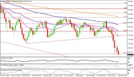 Daily Forex Guide